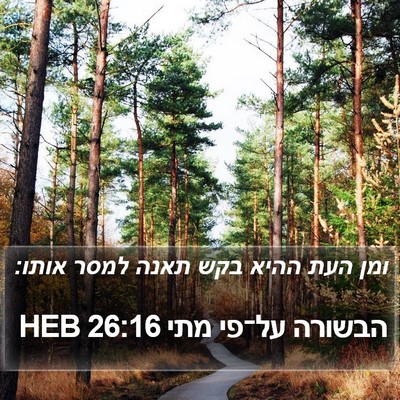 הבשורה על־פי מתי 26:16 HEB Bible Verse Image