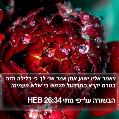 הבשורה על־פי מתי 26:34 HEB Bible Verse Image