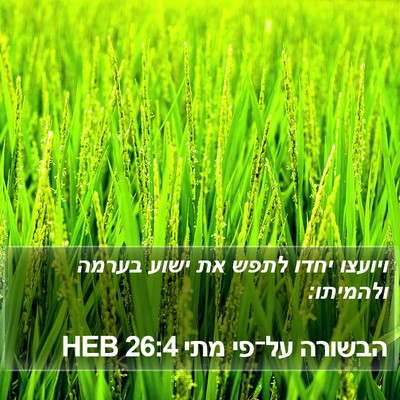 הבשורה על־פי מתי 26:4 HEB Bible Verse Image