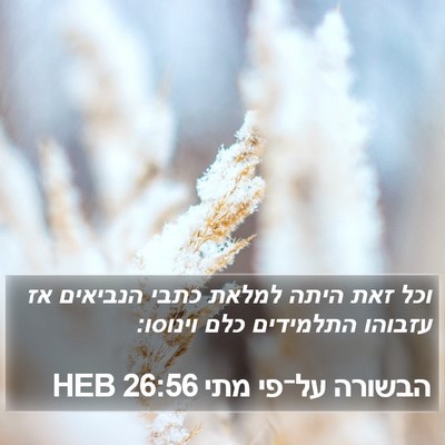 הבשורה על־פי מתי 26:56 HEB Bible Verse Image