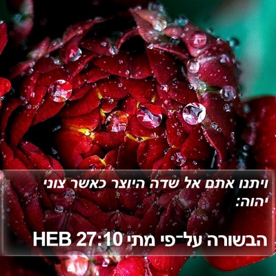 הבשורה על־פי מתי 27:10 HEB Bible Verse Image