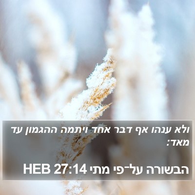 הבשורה על־פי מתי 27:14 HEB Bible Verse Image