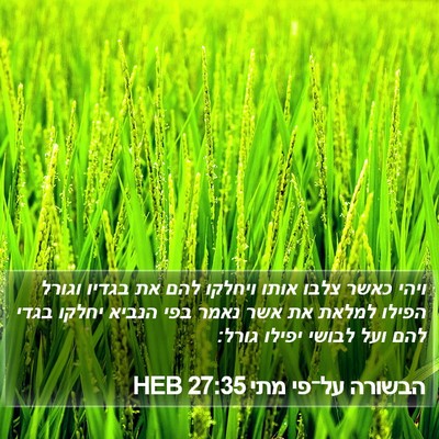 הבשורה על־פי מתי 27:35 HEB Bible Verse Image
