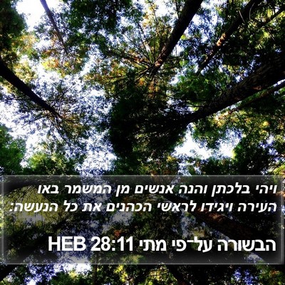 הבשורה על־פי מתי 28:11 HEB Bible Verse Image