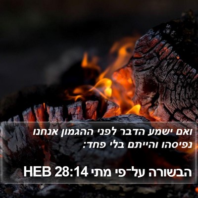 הבשורה על־פי מתי 28:14 HEB Bible Verse Image