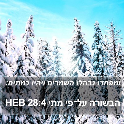 הבשורה על־פי מתי 28:4 HEB Bible Verse Image