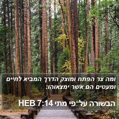 הבשורה על־פי מתי 7:14 HEB Bible Verse Image