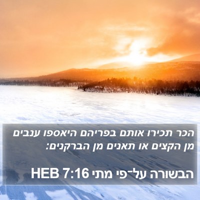 הבשורה על־פי מתי 7:16 HEB Bible Verse Image