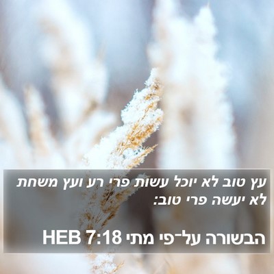 הבשורה על־פי מתי 7:18 HEB Bible Verse Image