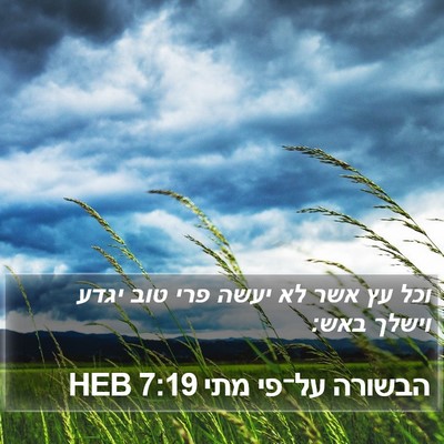 הבשורה על־פי מתי 7:19 HEB Bible Verse Image