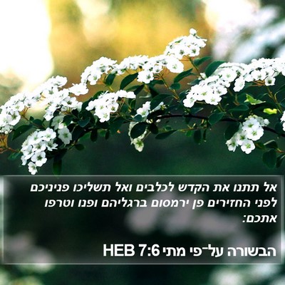 הבשורה על־פי מתי 7:6 HEB Bible Verse Image