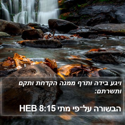 הבשורה על־פי מתי 8:15 HEB Bible Verse Image