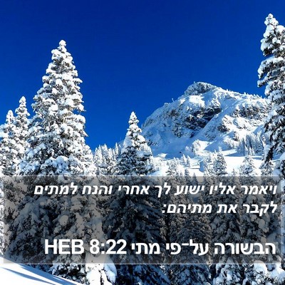 הבשורה על־פי מתי 8:22 HEB Bible Verse Image