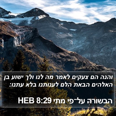 הבשורה על־פי מתי 8:29 HEB Bible Verse Image