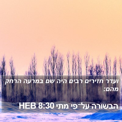 הבשורה על־פי מתי 8:30 HEB Bible Verse Image