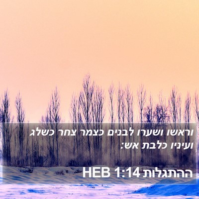 ההתגלות 1:14 HEB Bible Verse Image