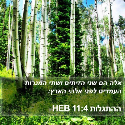 ההתגלות 11:4 HEB Bible Verse Image