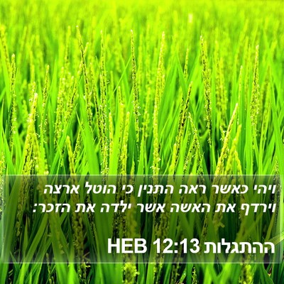 ההתגלות 12:13 HEB Bible Verse Image