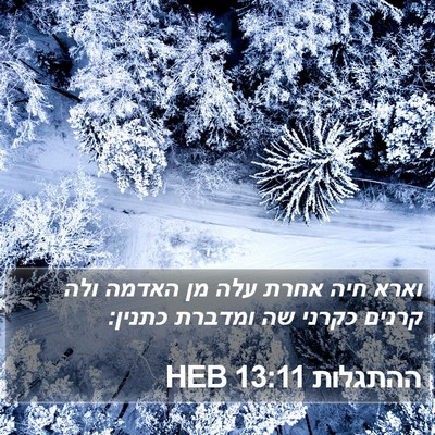 ההתגלות 13:11 HEB Bible Verse Image