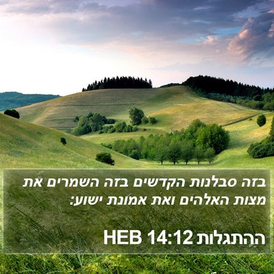 ההתגלות 14:12 HEB Bible Verse Image