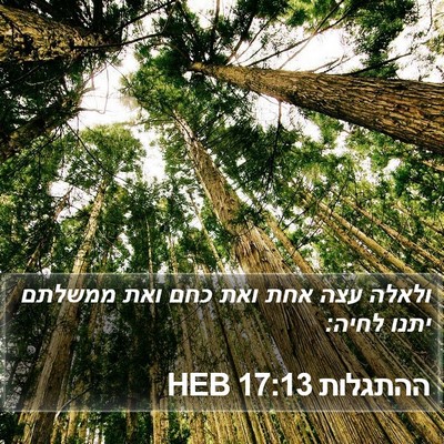 ההתגלות 17:13 HEB Bible Verse Image