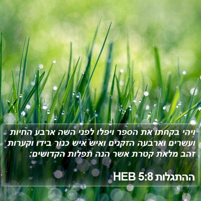 ההתגלות 5:8 HEB Bible Verse Image