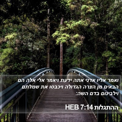 ההתגלות 7:14 HEB Bible Verse Image