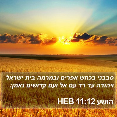 הושע 11:12 HEB Bible Verse Image