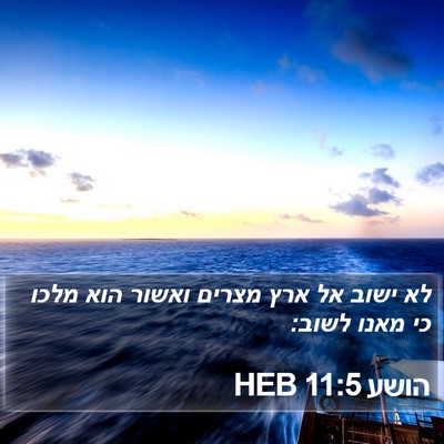 הושע 11:5 HEB Bible Verse Image