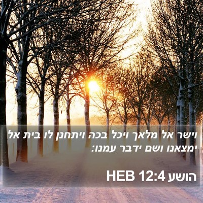 הושע 12:4 HEB Bible Verse Image