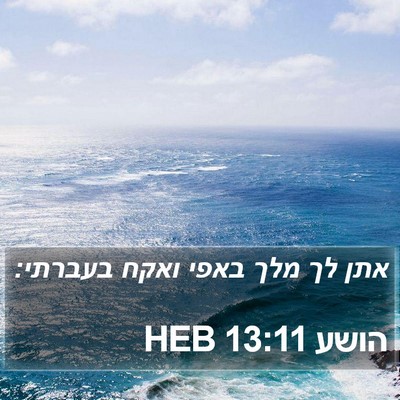 הושע 13:11 HEB Bible Verse Image