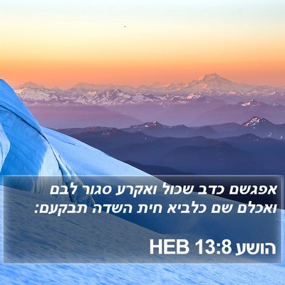 הושע 13:8 HEB Bible Verse Image