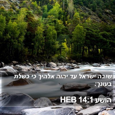 הושע 14:1 HEB Bible Verse Image