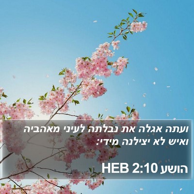 הושע 2:10 HEB Bible Verse Image