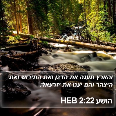 הושע 2:22 HEB Bible Verse Image