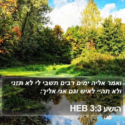 הושע 3:3 HEB Bible Verse Image
