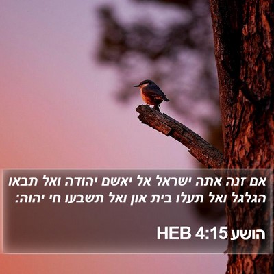 הושע 4:15 HEB Bible Verse Image