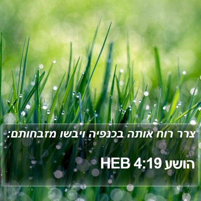 הושע 4:19 HEB Bible Verse Image