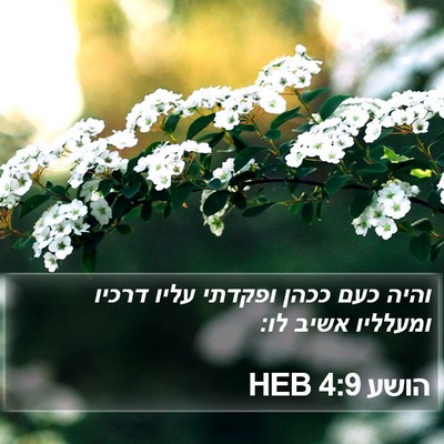 הושע 4:9 HEB Bible Verse Image