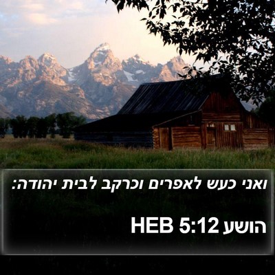 הושע 5:12 HEB Bible Verse Image