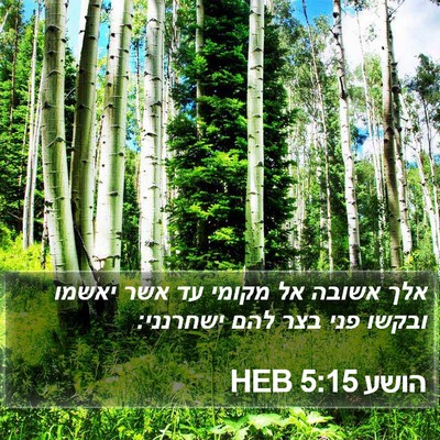 הושע 5:15 HEB Bible Verse Image