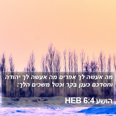 הושע 6:4 HEB Bible Verse Image