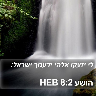 הושע 8:2 HEB Bible Verse Image