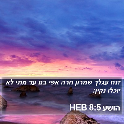 הושע 8:5 HEB Bible Verse Image