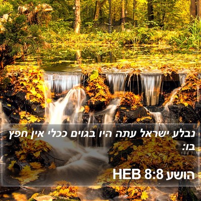 הושע 8:8 HEB Bible Verse Image