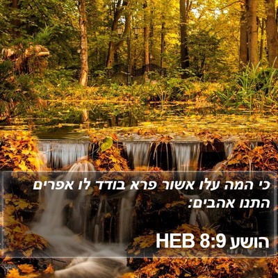 הושע 8:9 HEB Bible Verse Image