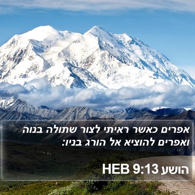 הושע 9:13 HEB Bible Verse Image