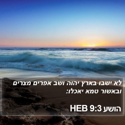 הושע 9:3 HEB Bible Verse Image