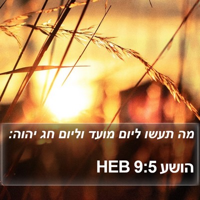הושע 9:5 HEB Bible Verse Image