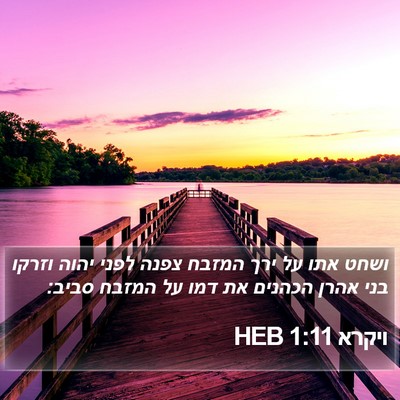 ויקרא 1:11 HEB Bible Verse Image